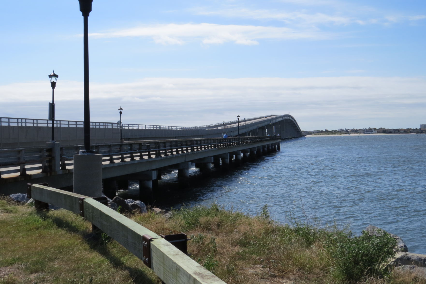 100816_urg_cdb_dogbeach (17).JPG